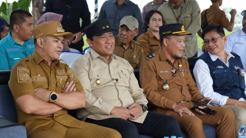 Wagub Kalteng Hadiri Panen Raya Demplot Padi di Lokasi lahan Opla Pulang Pisau