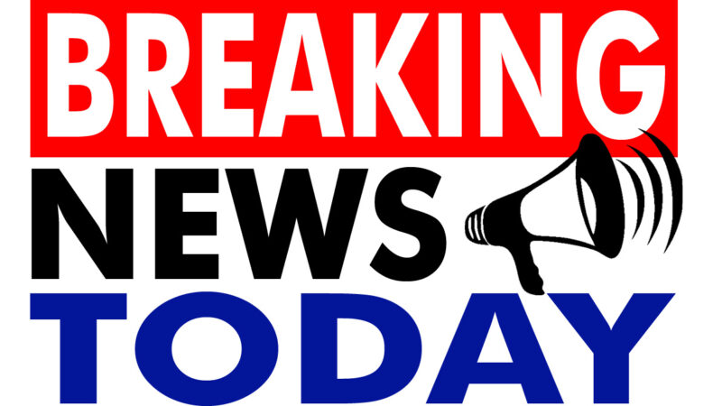 Growing vegetables are trending in hillside