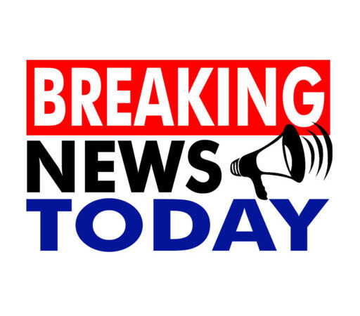 Greenhouse for growing tomatoes