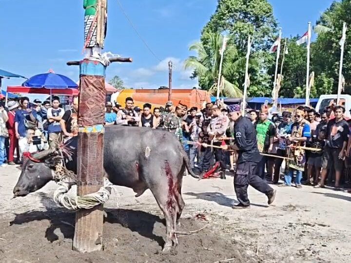 Tiwah Masal Desa Tahawa