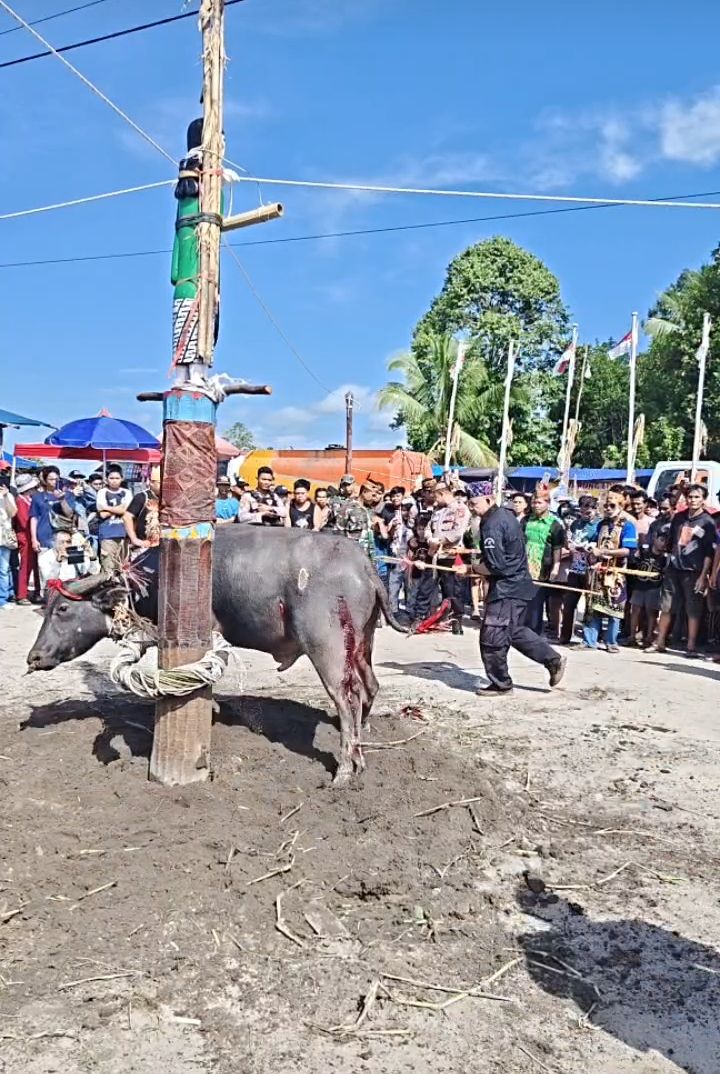 Tiwah Masal Desa Tahawa